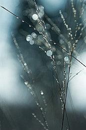 恐怖游戏《Fobia - St. Dinfna Hotel》发售 国区原价90元